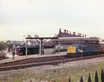 5000 Hereford