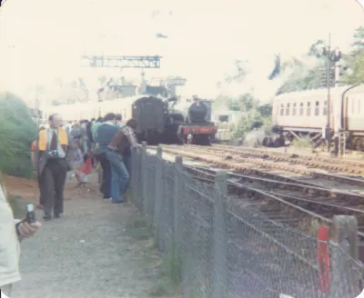 IMAGE3