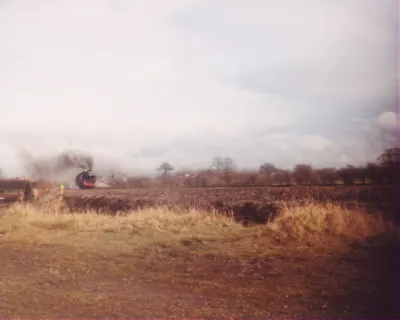 Unknown Hereford