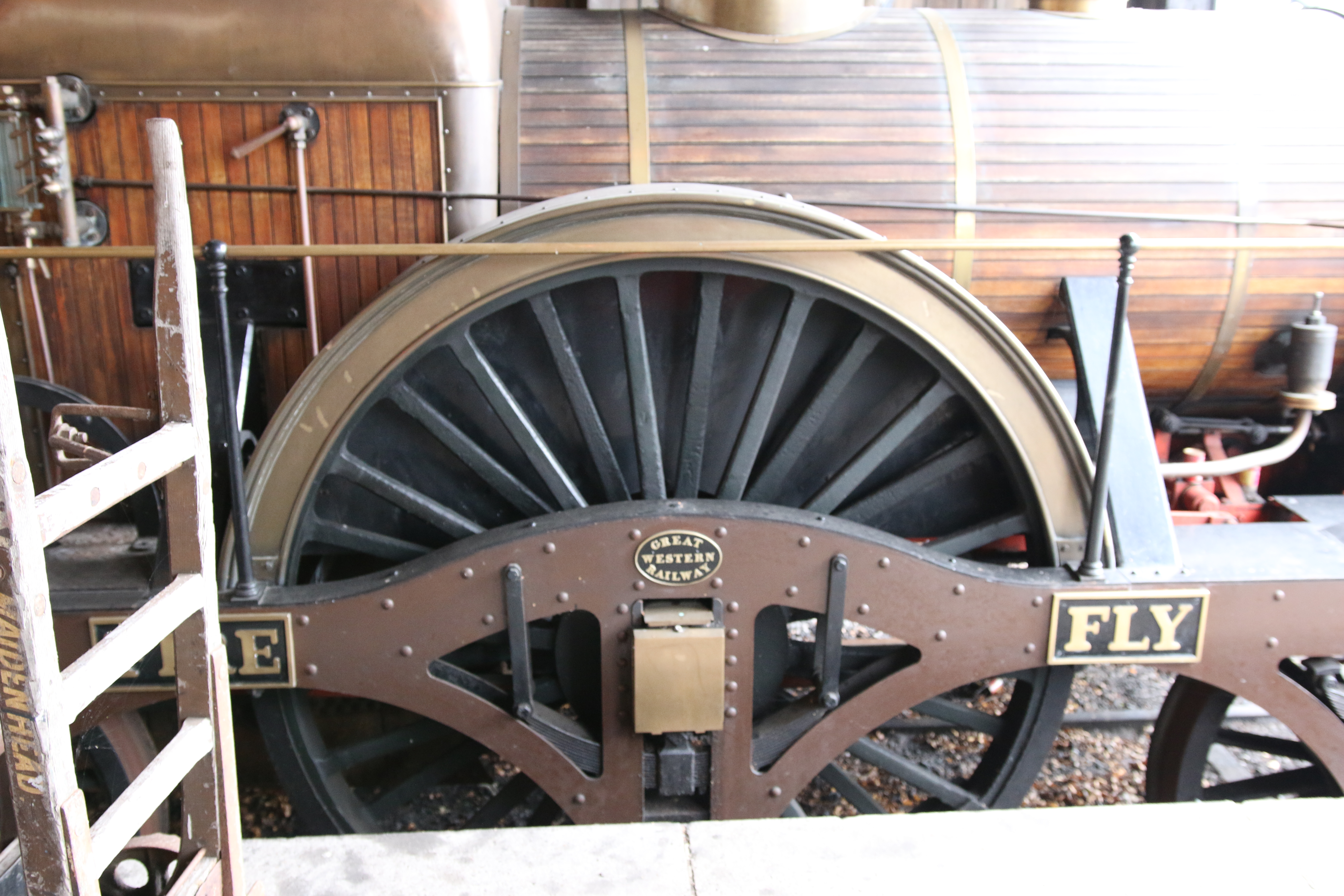 IMG 4576